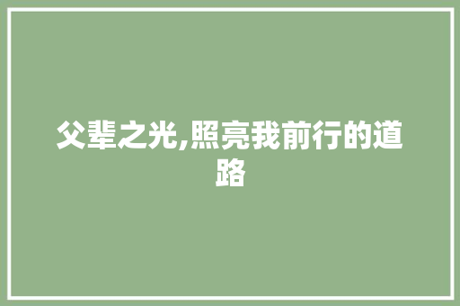 父辈之光,照亮我前行的道路