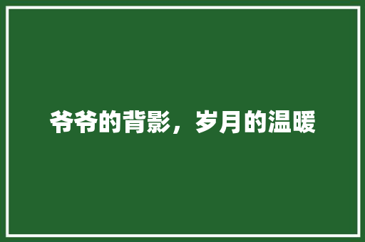 爷爷的背影，岁月的温暖