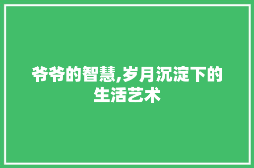 爷爷的智慧,岁月沉淀下的生活艺术