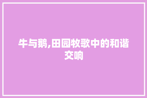 牛与鹅,田园牧歌中的和谐交响