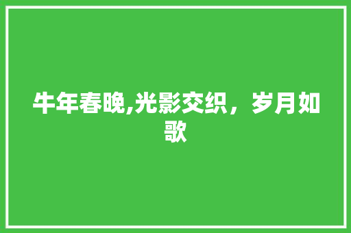 牛年春晚,光影交织，岁月如歌