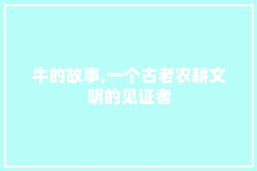 牛的故事,一个古老农耕文明的见证者