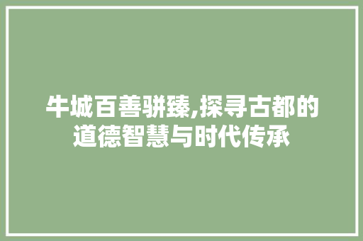 牛城百善骈臻,探寻古都的道德智慧与时代传承