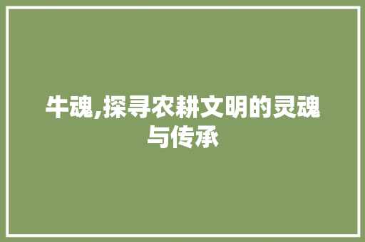 牛魂,探寻农耕文明的灵魂与传承