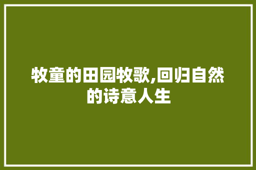 牧童的田园牧歌,回归自然的诗意人生