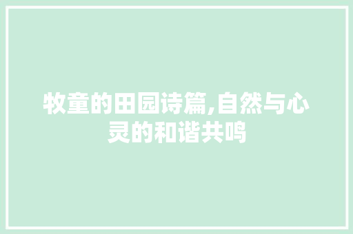 牧童的田园诗篇,自然与心灵的和谐共鸣