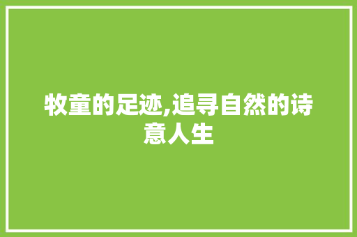 牧童的足迹,追寻自然的诗意人生