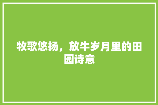 牧歌悠扬，放牛岁月里的田园诗意