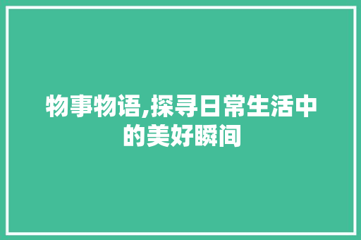 物事物语,探寻日常生活中的美好瞬间