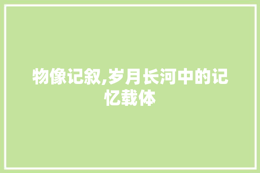 物像记叙,岁月长河中的记忆载体