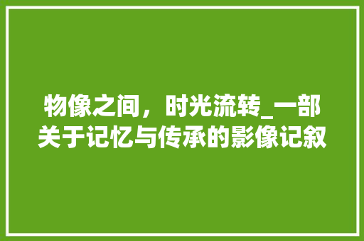 物像之间，时光流转_一部关于记忆与传承的影像记叙