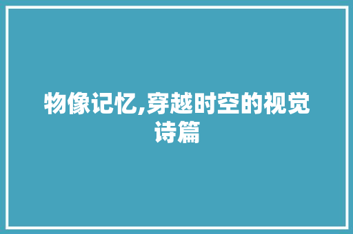 物像记忆,穿越时空的视觉诗篇