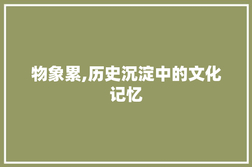 物象累,历史沉淀中的文化记忆