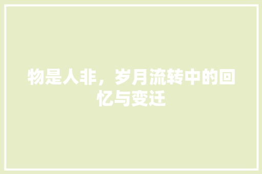 物是人非，岁月流转中的回忆与变迁