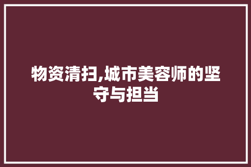 物资清扫,城市美容师的坚守与担当