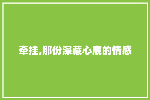 牵挂,那份深藏心底的情感