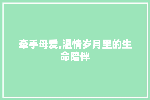 牵手母爱,温情岁月里的生命陪伴