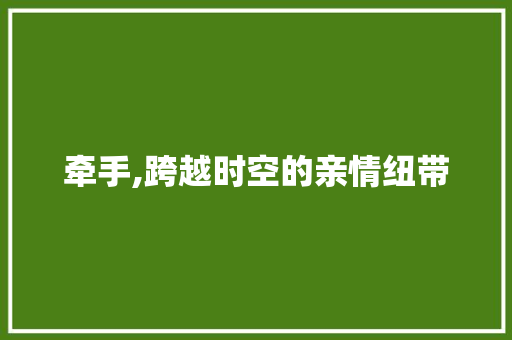 牵手,跨越时空的亲情纽带