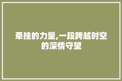 牵挂的力量,一段跨越时空的深情守望