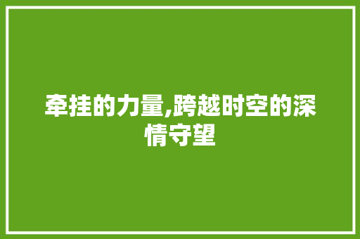 牵挂的力量,跨越时空的深情守望