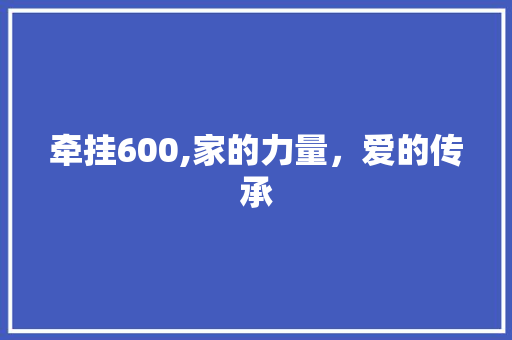 牵挂600,家的力量，爱的传承