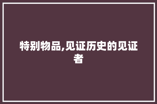 特别物品,见证历史的见证者