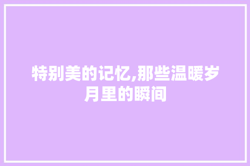 特别美的记忆,那些温暖岁月里的瞬间