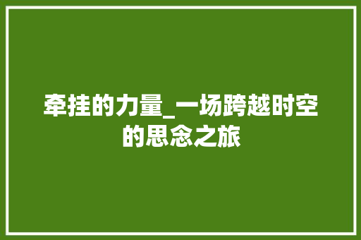 牵挂的力量_一场跨越时空的思念之旅