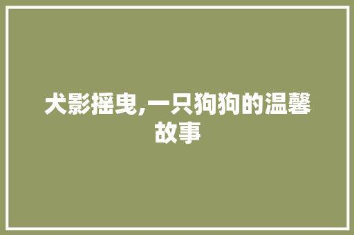 犬影摇曳,一只狗狗的温馨故事