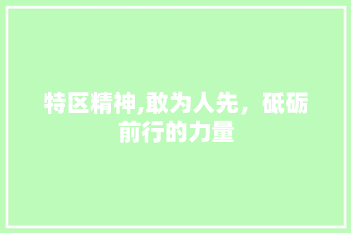 特区精神,敢为人先，砥砺前行的力量