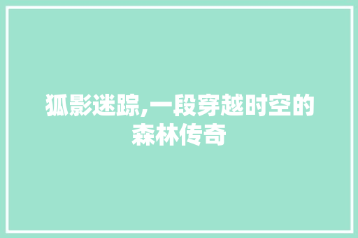 狐影迷踪,一段穿越时空的森林传奇