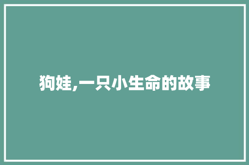 狗娃,一只小生命的故事