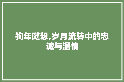 狗年随想,岁月流转中的忠诚与温情