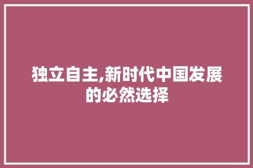 独立自主,新时代中国发展的必然选择