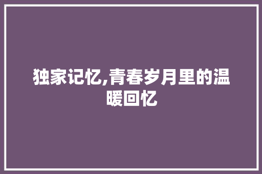 独家记忆,青春岁月里的温暖回忆