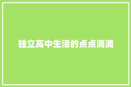 独立高中生活的点点滴滴