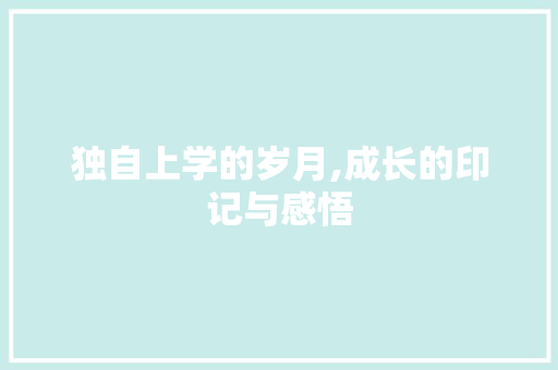 独自上学的岁月,成长的印记与感悟