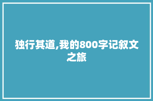 独行其道,我的800字记叙文之旅