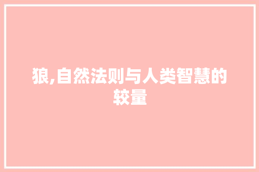 狼,自然法则与人类智慧的较量