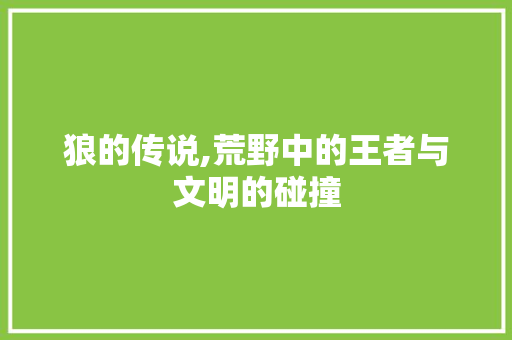 狼的传说,荒野中的王者与文明的碰撞