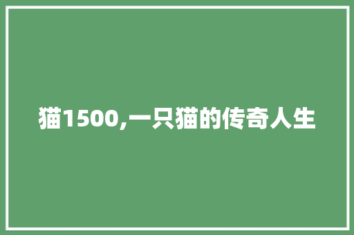 猫1500,一只猫的传奇人生