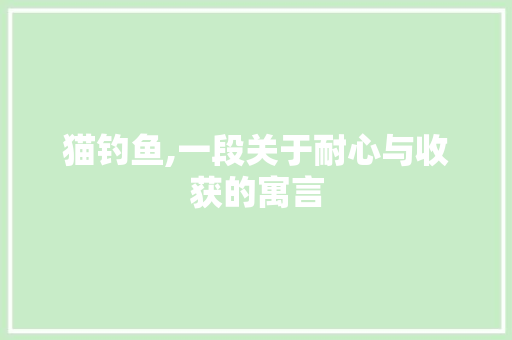 猫钓鱼,一段关于耐心与收获的寓言