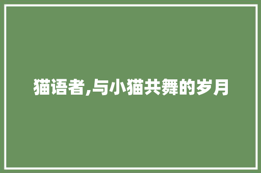 猫语者,与小猫共舞的岁月