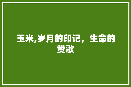 玉米,岁月的印记，生命的赞歌