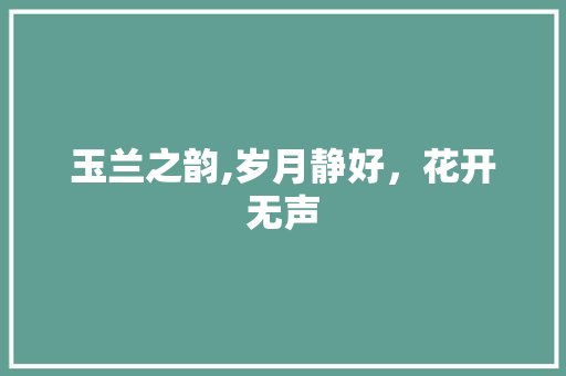 玉兰之韵,岁月静好，花开无声