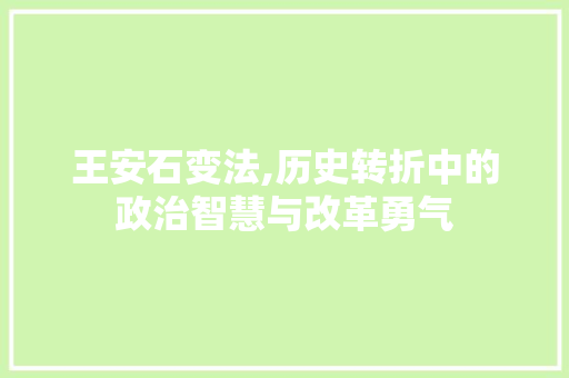 王安石变法,历史转折中的政治智慧与改革勇气