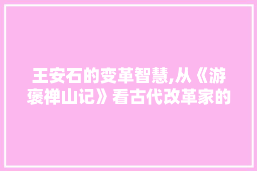 王安石的变革智慧,从《游褒禅山记》看古代改革家的胆识与远见