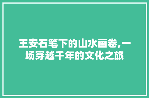 王安石笔下的山水画卷,一场穿越千年的文化之旅