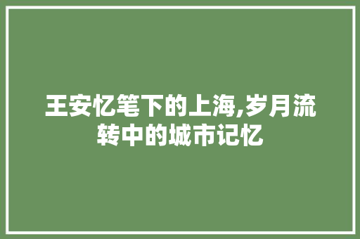 王安忆笔下的上海,岁月流转中的城市记忆