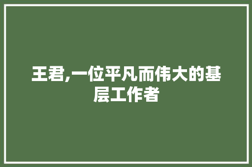 王君,一位平凡而伟大的基层工作者